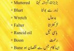 English For kids, English in Urdu, learn English Vocabulary, All English Words, English Important Words, Core English Vocabulary, English For Kids, English Part 1,English For kids 1,English Words, English With Hindi, English Dictionary, Daily Use Words of English, Kids Teaching lesson, English Teacher in Pakistan, English Dictionary Definition, English Picture Dictionary, learn English Vocabulary,4000 Words English, Basic English.