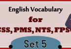 CSS Vocabulary With Meanings and Sentences PDF