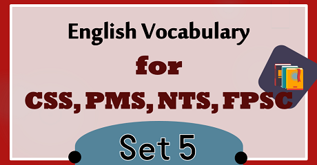 CSS Vocabulary With Meanings and Sentences PDF