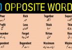 50 Opposite Words with Urdu & Hindi Meanings Opposite Words List with Meaning in Urdu contains 50 Daily used basic English words with meanings in Urdu and antonyms or opposite words