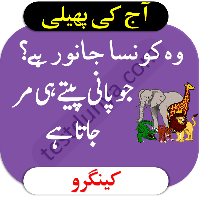 Riddles in Urdu for Kids with Answers 2020 • TestDunya