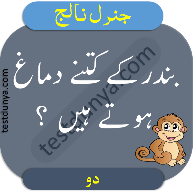 General Knowledge Questions and Answers in Urdu learn general knowledge quiz about Pakistan with answers in Urdu Gk about Islam, current affairs, Pakistan affairs, general science and mathematics.