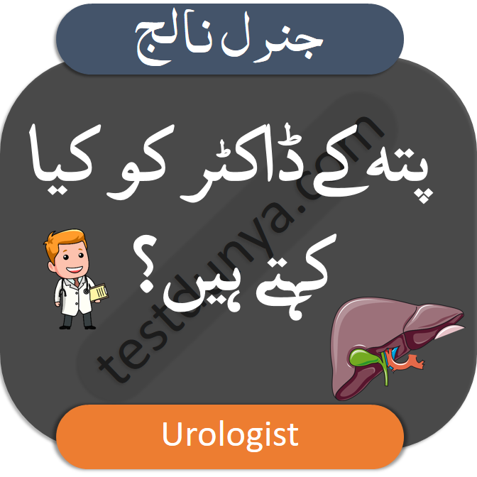 IQ Questions with Answers in Urdu find brain questions with their answers learn mind questions and answers in Urdu and Hindi