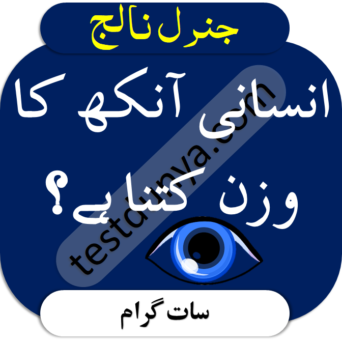 Common Sense Questions With Answer in Urdu interesting mind questions answers in Urdu general knowledge about world with correct answers.