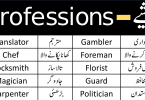 Professions Vocabulary in English with Urdu Meanings