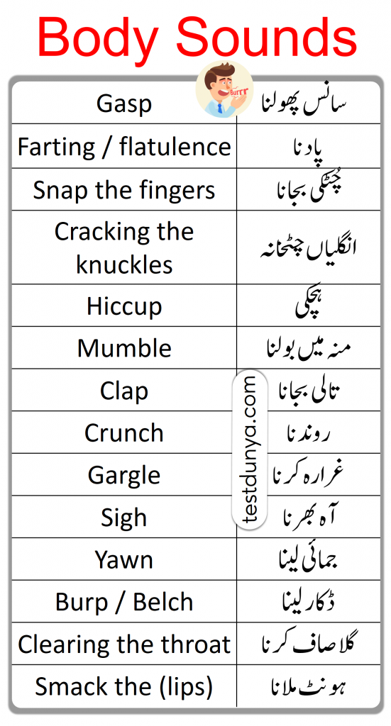 body sounds name in English and Urdu
