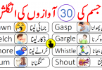 Body Sounds Vocabulary with Urdu Meanings