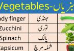 Vegetables Names Vocabulary in English and Urdu Vegetables Names Vocabulary with Urdu Meanings learn Vegetables name with Urdu meanings Vegetables vocabulary in Urdu and English Vegetables name in English and Urdu.